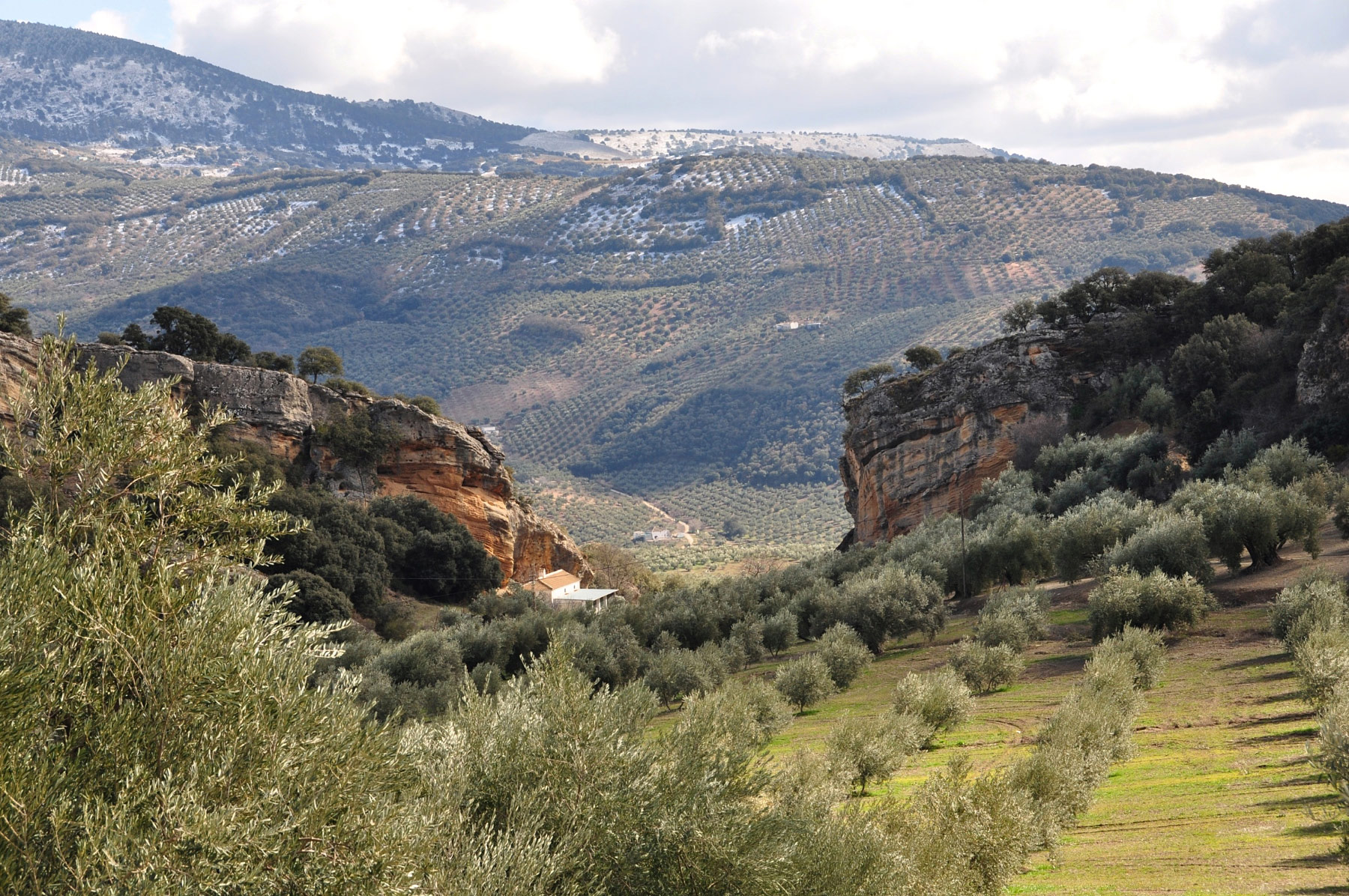 Moclín